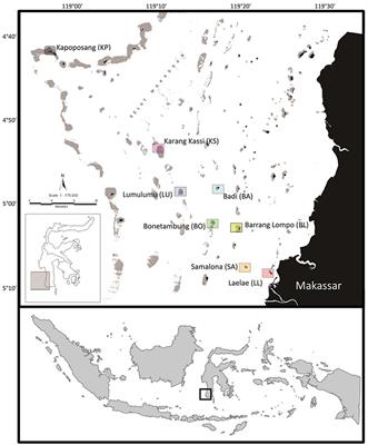 Spatio-Temporal Patterns in the Coral Reef Communities of the Spermonde Archipelago, 2012–2014, II: Fish Assemblages Display Structured Variation Related to Benthic Condition